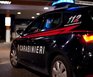 Sezione modelli per esercizi pubblici