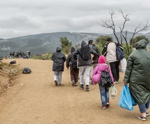 Sezione modelli per materia di immigrazione